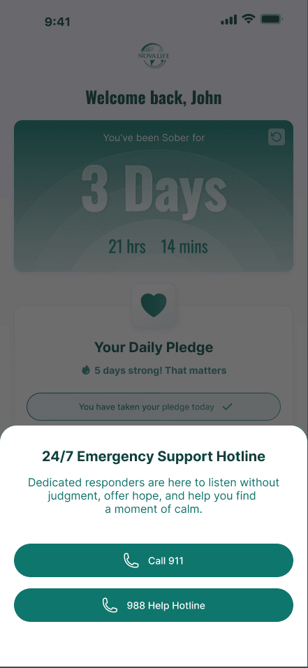 Crisis support in NOVA LiFE